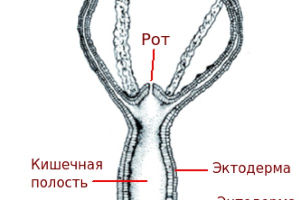 Кракен сайт работает