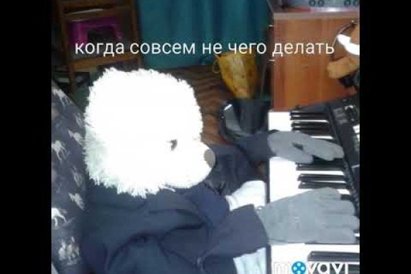 Зеркала тор