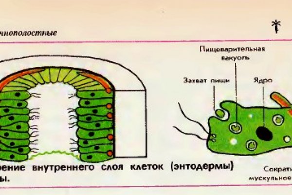 Кракен маркет тор